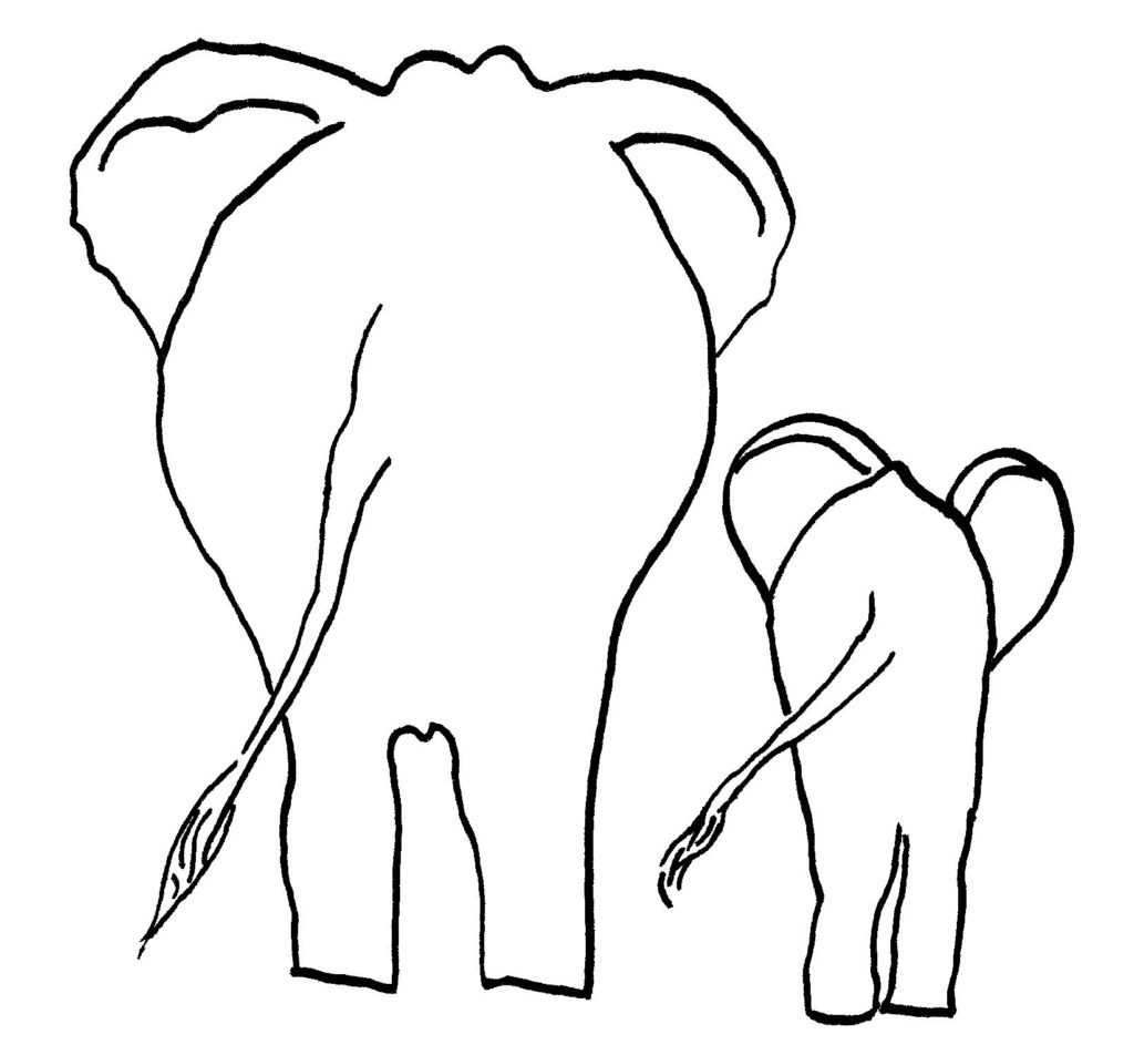 Praxislogo Elefanten